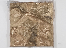 piece